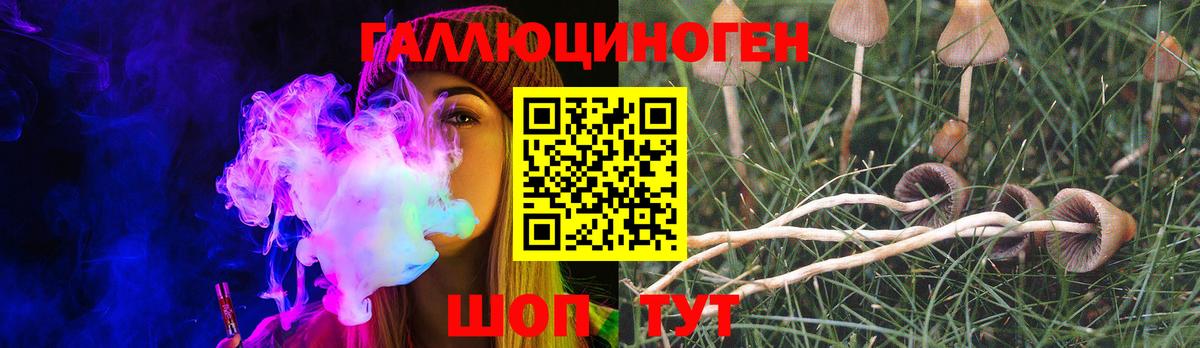 Краснодар  наркота  Вход с VPN  Галлюциногенные грибы Psilocybine cubensis 