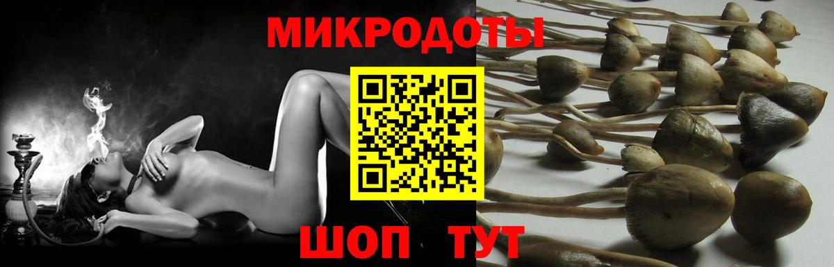 Псилоцибиновые грибы прущие грибы Краснодар